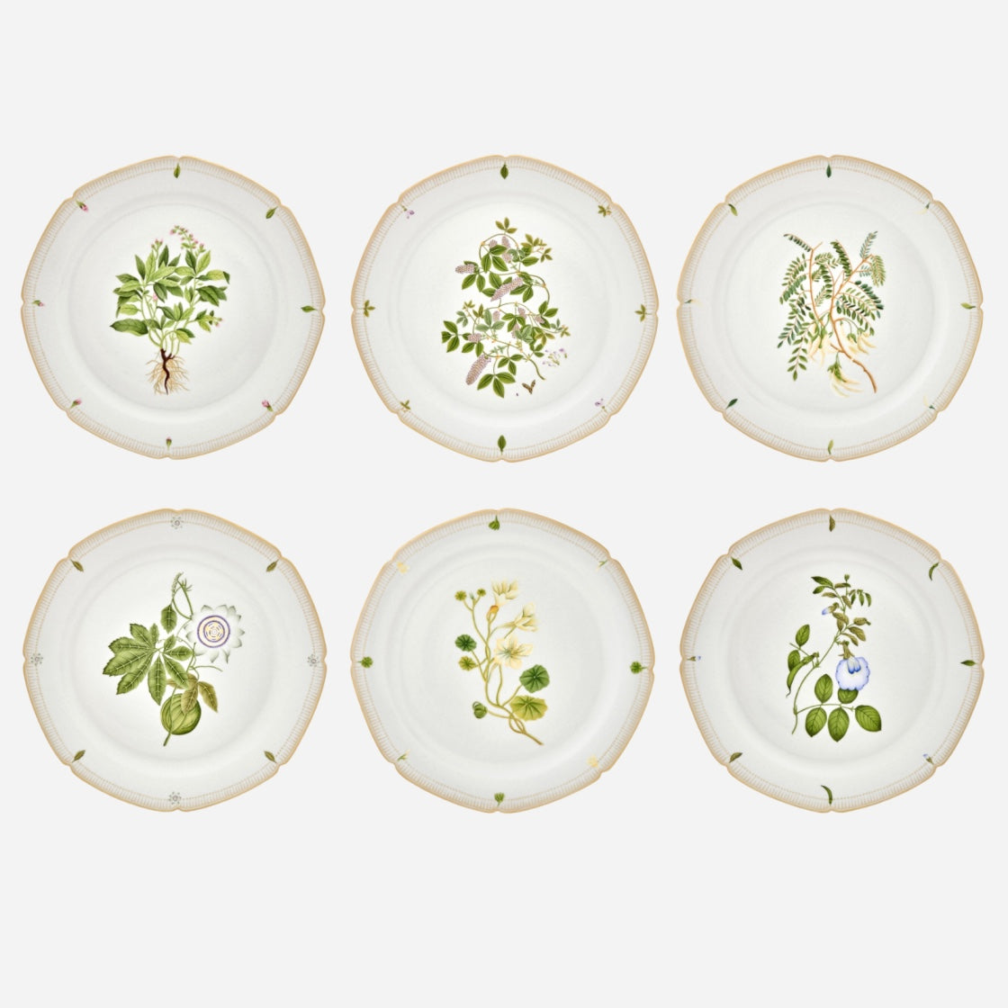 de Gournay Botanicals porcelain plates