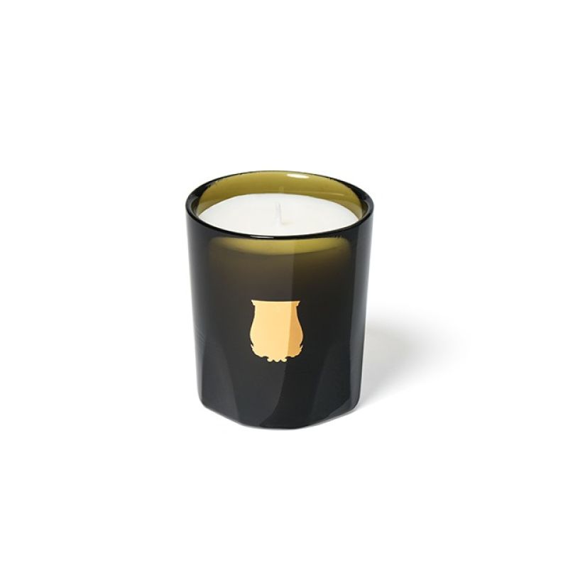 Cire Trudon 经典香氛蜡烛 - 墨绿玻璃杯 + 金色徽章