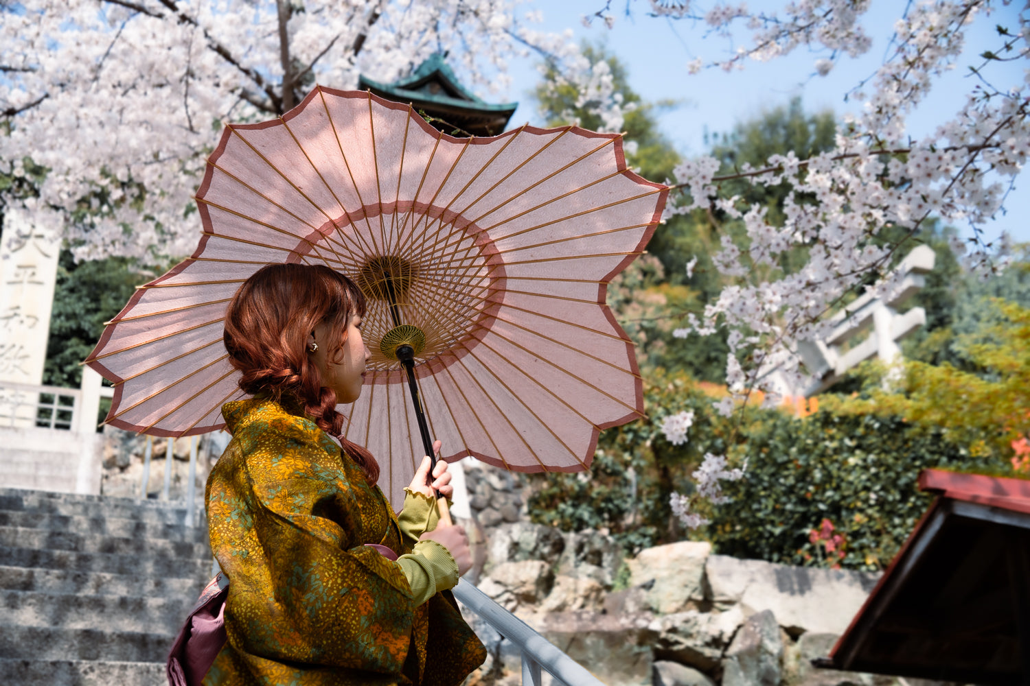 桜和傘